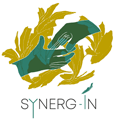 Synerg-In Montpellier