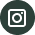 Logo instagram vert
